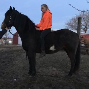 Meet your Posher, Makenzie